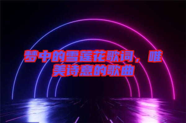 夢中的雪蓮花歌詞，唯美詩意的歌曲
