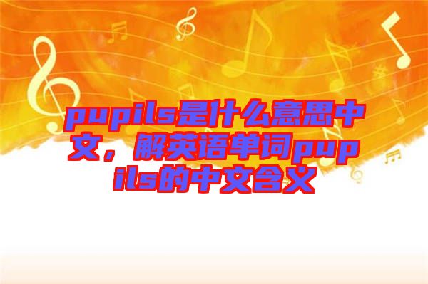 pupils是什么意思中文，解英語單詞pupils的中文含義