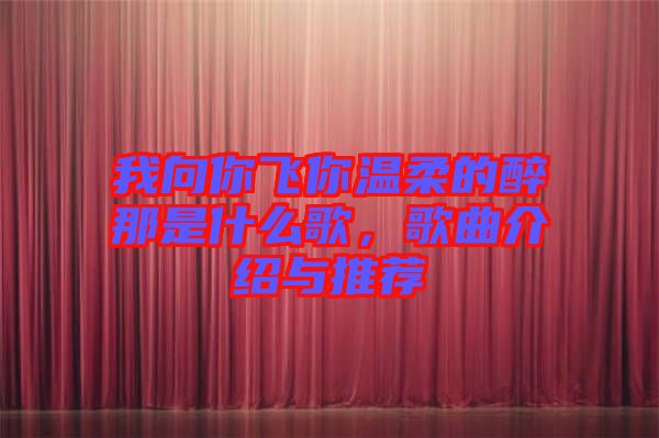 我向你飛你溫柔的醉那是什么歌，歌曲介紹與推薦