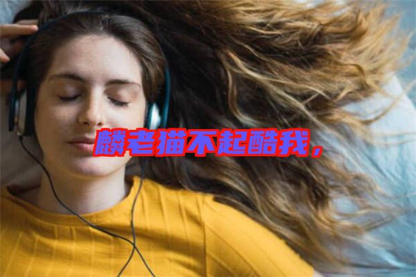 麟老貓不起酷我，