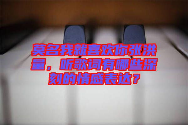 莫名我就喜歡你張洪量，聽歌詞有哪些深刻的情感表達(dá)？