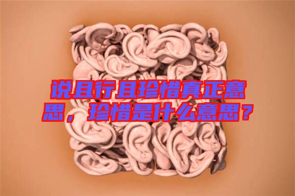 說(shuō)且行且珍惜真正意思，珍惜是什么意思？