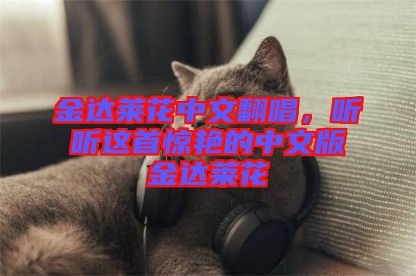 金達(dá)萊花中文翻唱，聽(tīng)聽(tīng)這首驚艷的中文版金達(dá)萊花