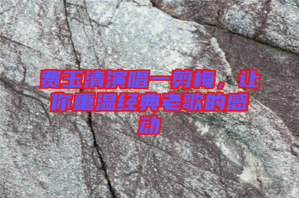 費玉清演唱一剪梅，讓你重溫經(jīng)典老歌的感動