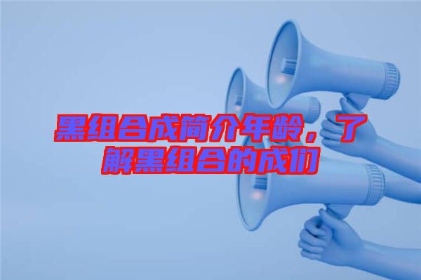 黑組合成簡介年齡，了解黑組合的成們
