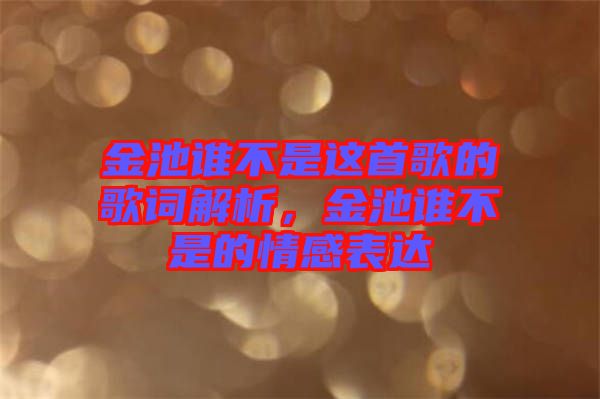 金池誰不是這首歌的歌詞解析，金池誰不是的情感表達(dá)