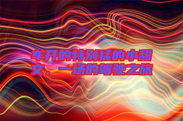 車(chē)開(kāi)的特別猛的小甜文，一場(chǎng)的駕駛之旅