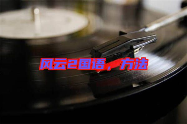 風(fēng)云2國語，方法
