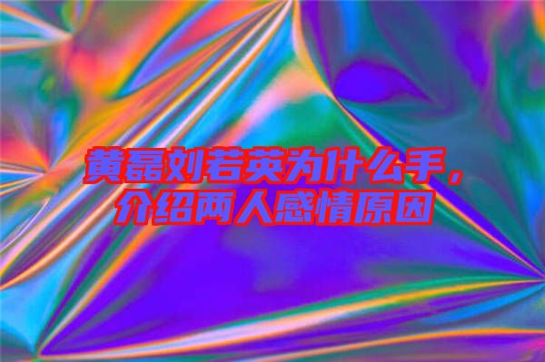 黃磊劉若英為什么手，介紹兩人感情原因