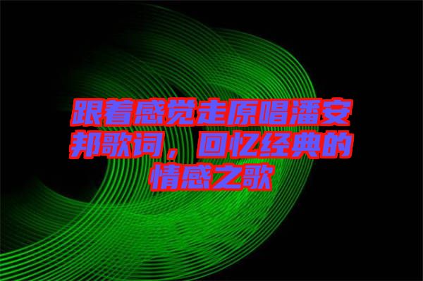 跟著感覺走原唱潘安邦歌詞，回憶經(jīng)典的情感之歌