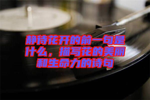 靜待花開的前一句是什么，描寫花的美麗和生命力的詩句
