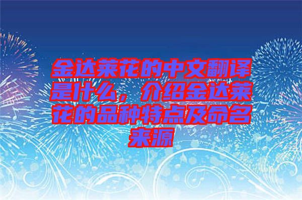 金達(dá)萊花的中文翻譯是什么，介紹金達(dá)萊花的品種特點(diǎn)及命名來源