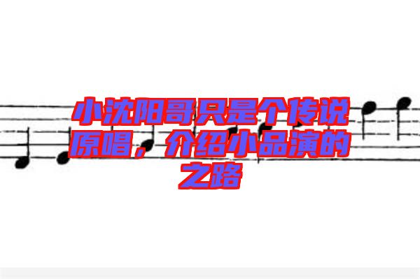 小沈陽哥只是個(gè)傳說原唱，介紹小品演的之路