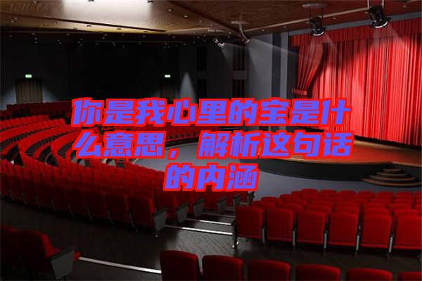 你是我心里的寶是什么意思，解析這句話的內涵