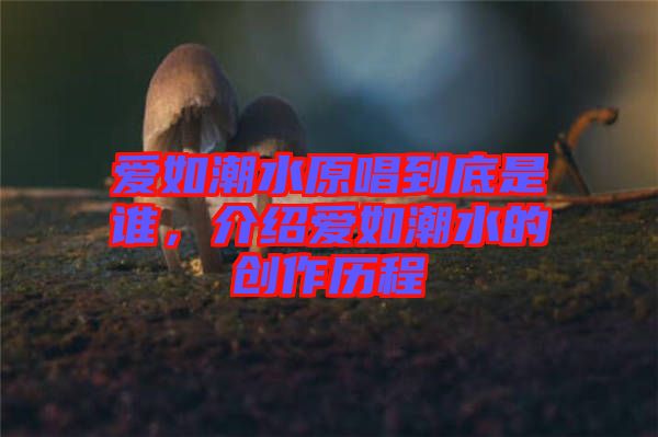 愛如潮水原唱到底是誰，介紹愛如潮水的創(chuàng)作歷程