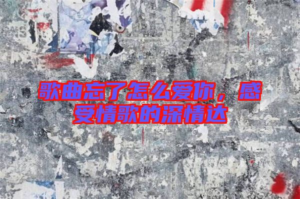 歌曲忘了怎么愛你，感受情歌的深情達