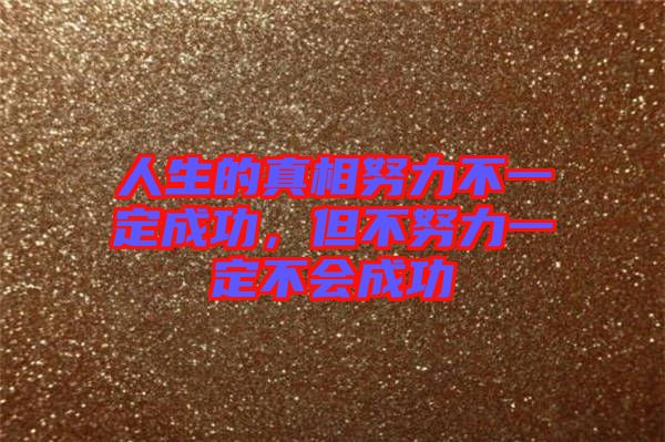 人生的真相努力不一定成功，但不努力一定不會成功