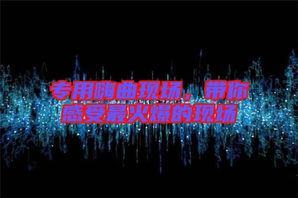 專用嗨曲現(xiàn)場(chǎng)，帶你感受最火爆的現(xiàn)場(chǎng)