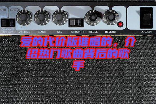 愛(ài)的代價(jià)版誰(shuí)唱的，介紹熱門歌曲背后的歌手