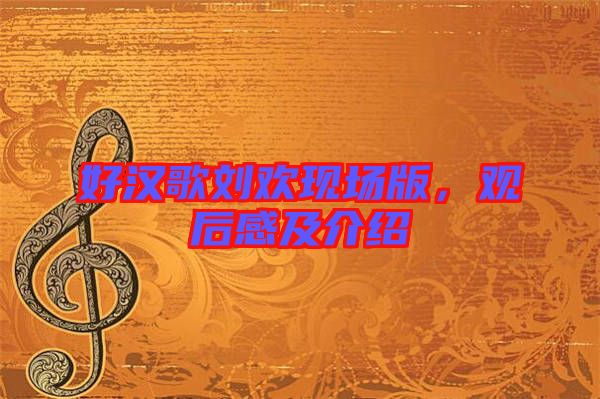 好漢歌劉歡現(xiàn)場(chǎng)版，觀后感及介紹