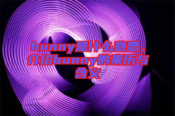 bunny是什么意思，介紹bunny的來歷與含義