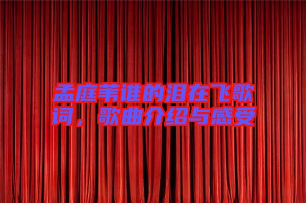孟庭葦誰的淚在飛歌詞，歌曲介紹與感受