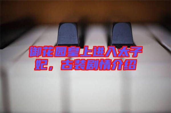 御花園皇上進(jìn)入太子妃，古裝劇情介紹