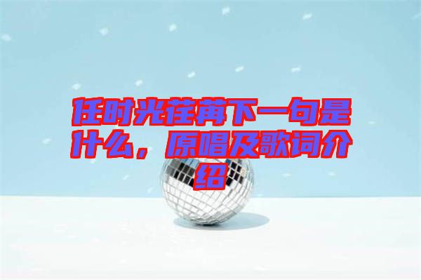 任時光荏苒下一句是什么，原唱及歌詞介紹