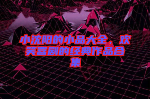 小沈陽的小品大全，歡笑喜劇的經(jīng)典作品合集