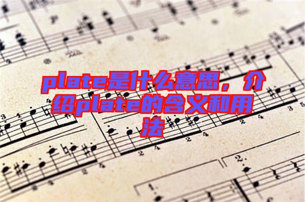 plate是什么意思，介紹plate的含義和用法