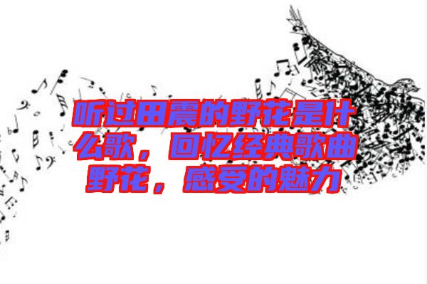 聽過田震的野花是什么歌，回憶經(jīng)典歌曲野花，感受的魅力