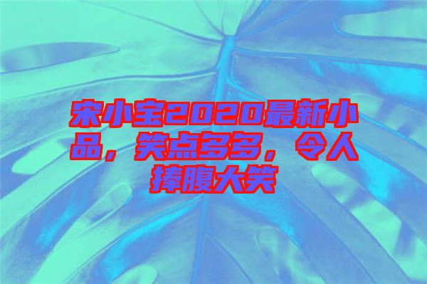 宋小寶2020最新小品，笑點(diǎn)多多，令人捧腹大笑