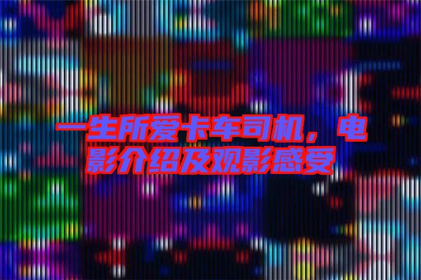 一生所愛(ài)卡車司機(jī)，電影介紹及觀影感受