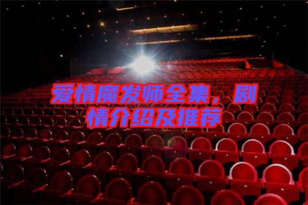 愛情魔發(fā)師全集，劇情介紹及推薦