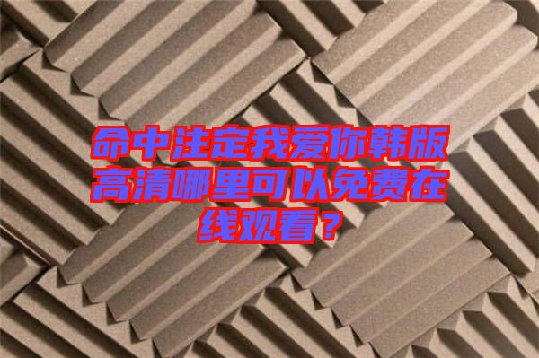 命中注定我愛你韓版高清哪里可以免費在線觀看？