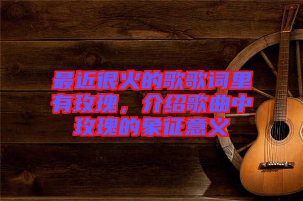 最近很火的歌歌詞里有玫瑰，介紹歌曲中玫瑰的象征意義