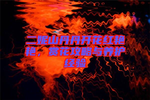 二妮山丹丹開花紅艷艷，賞花攻略與養(yǎng)護(hù)經(jīng)驗(yàn)