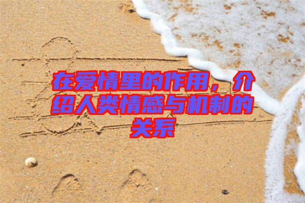 在愛情里的作用，介紹人類情感與機制的關(guān)系