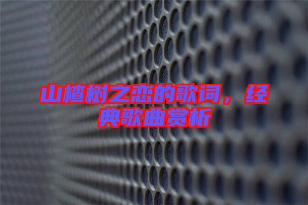 山楂樹之戀的歌詞，經(jīng)典歌曲賞析