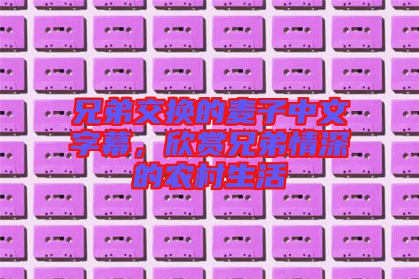 兄弟交換的麥子中文字幕，欣賞兄弟情深的農(nóng)村生活