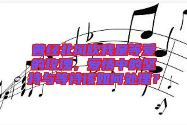 曾經(jīng)北風吹我是等愛的玫瑰，愛情中的堅持與等待該如何處理？