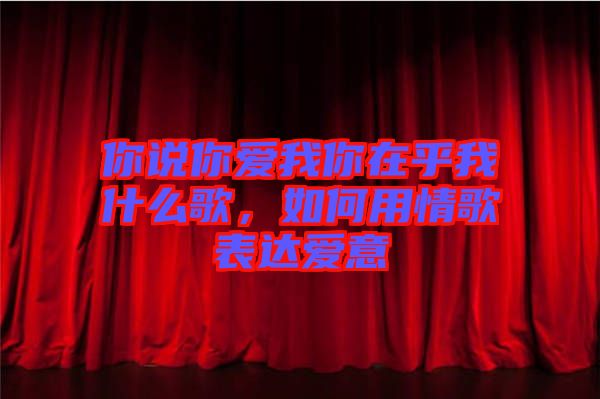 你說你愛我你在乎我什么歌，如何用情歌表達(dá)愛意