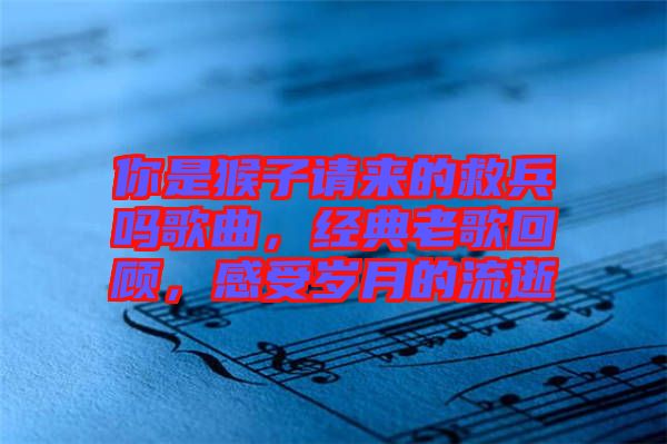 你是猴子請(qǐng)來的救兵嗎歌曲，經(jīng)典老歌回顧，感受歲月的流逝