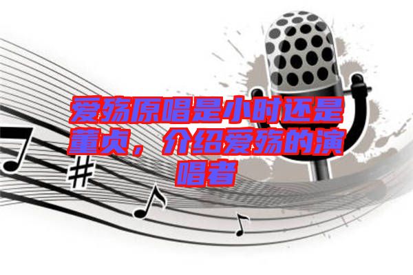 愛(ài)殤原唱是小時(shí)還是董貞，介紹愛(ài)殤的演唱者