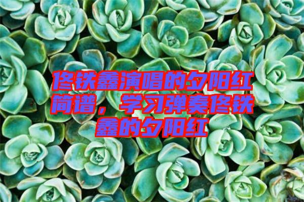佟鐵鑫演唱的夕陽(yáng)紅簡(jiǎn)譜，學(xué)習(xí)彈奏佟鐵鑫的夕陽(yáng)紅