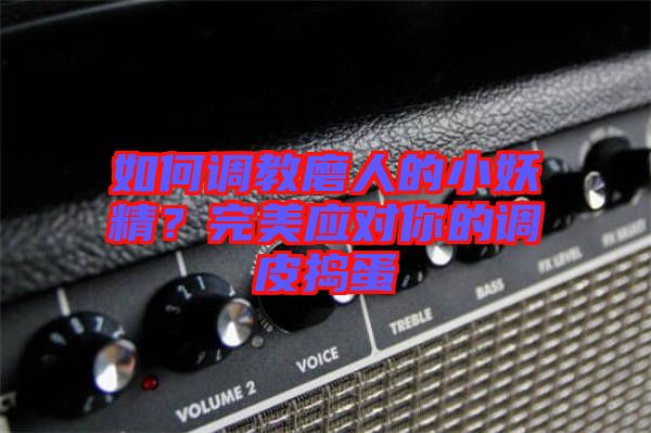如何調(diào)教磨人的小妖精？完美應(yīng)對你的調(diào)皮搗蛋