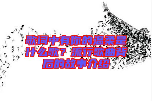歌詞中有你的溫柔是什么歌？流行歌曲背后的故事介紹