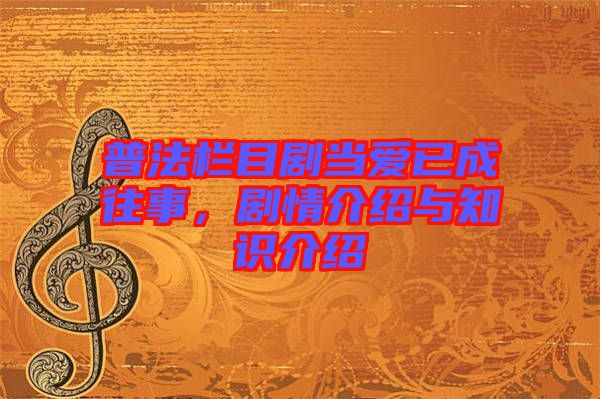 普法欄目劇當(dāng)愛已成往事，劇情介紹與知識介紹