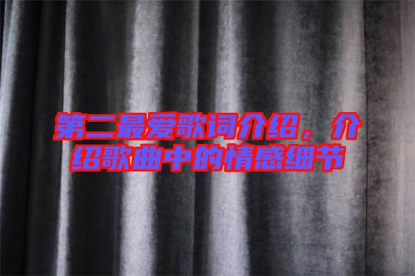 第二最愛歌詞介紹，介紹歌曲中的情感細(xì)節(jié)