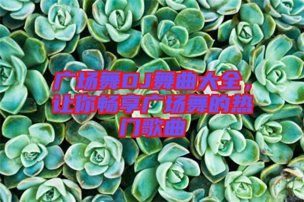 廣場(chǎng)舞DJ舞曲大全，讓你暢享廣場(chǎng)舞的熱門歌曲